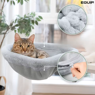 CatNest