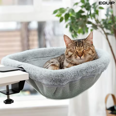 CatNest